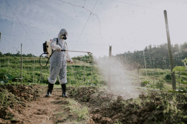 Best Pest Removal Services  in Riceville, TN