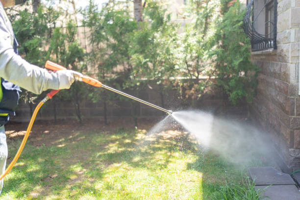 Best Affordable Pest Control Services  in Riceville, TN