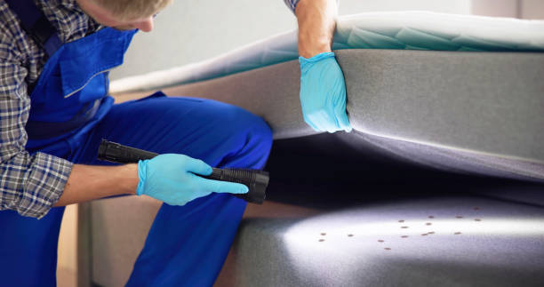 Best Exterminator Services  in Riceville, TN