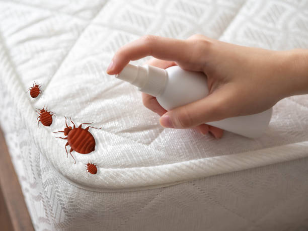 Best Exterminator Services  in Riceville, TN