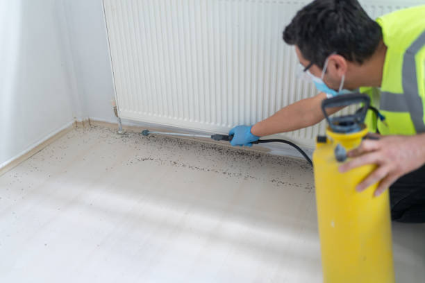 Best Pest Prevention Services  in Riceville, TN