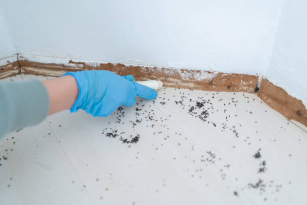 Riceville, TN Pest Control Company